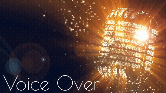 High Quality voiceovers, will do 1000 words for 10 dollars, Female voiceover.