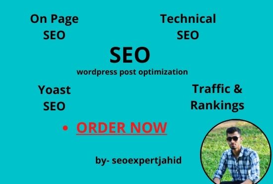 I will do on page seo and technical optimization with yoast for your website