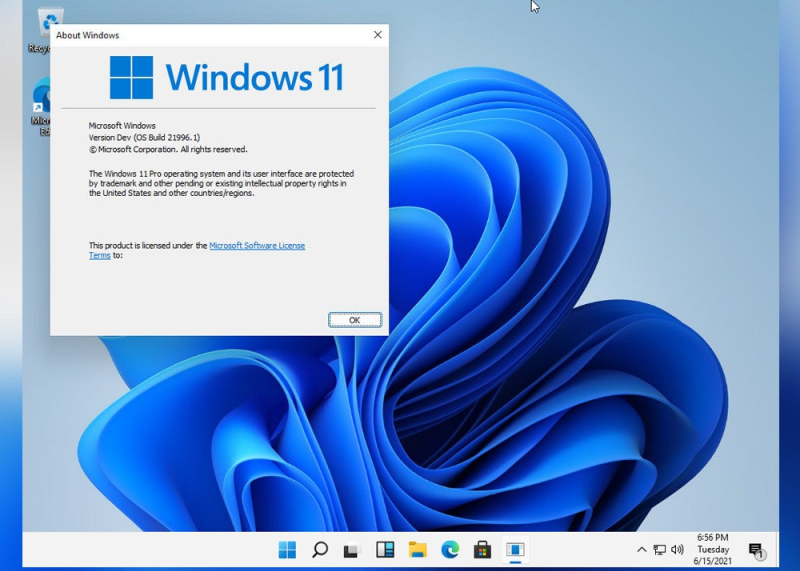 SEO in the future depends on what you do today
