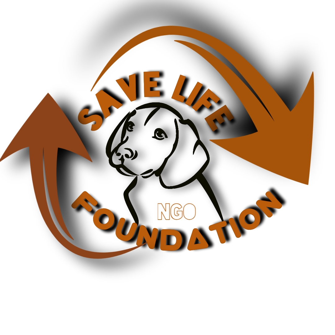 We create the best logo in a short amount of time.