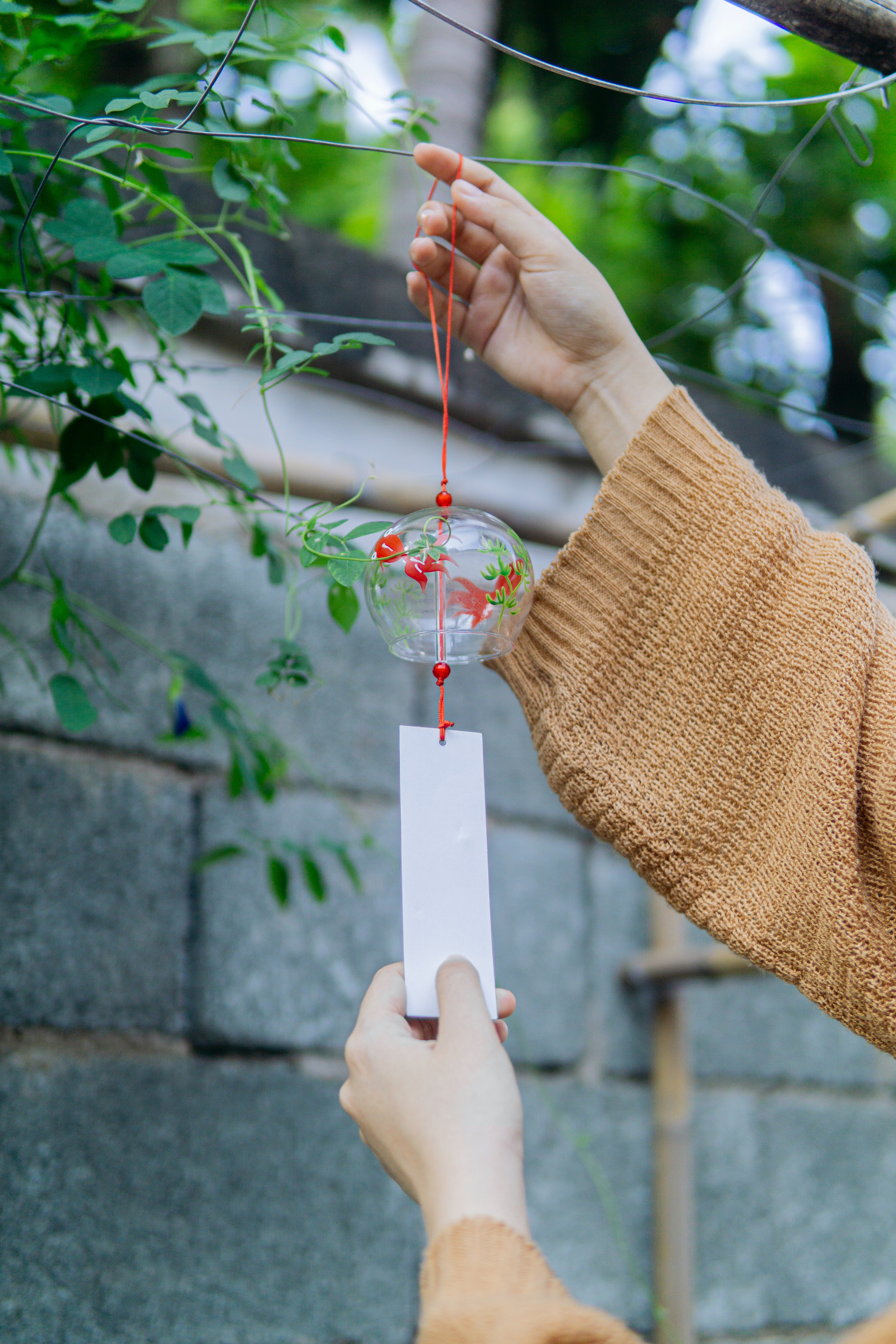 I will do a professional background removal for you