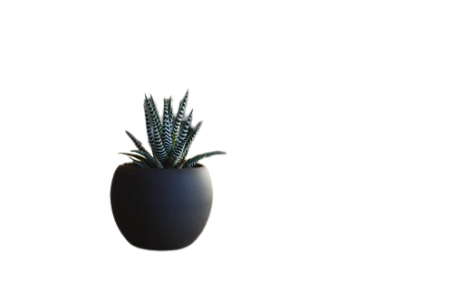 Remove image background in white or transparent