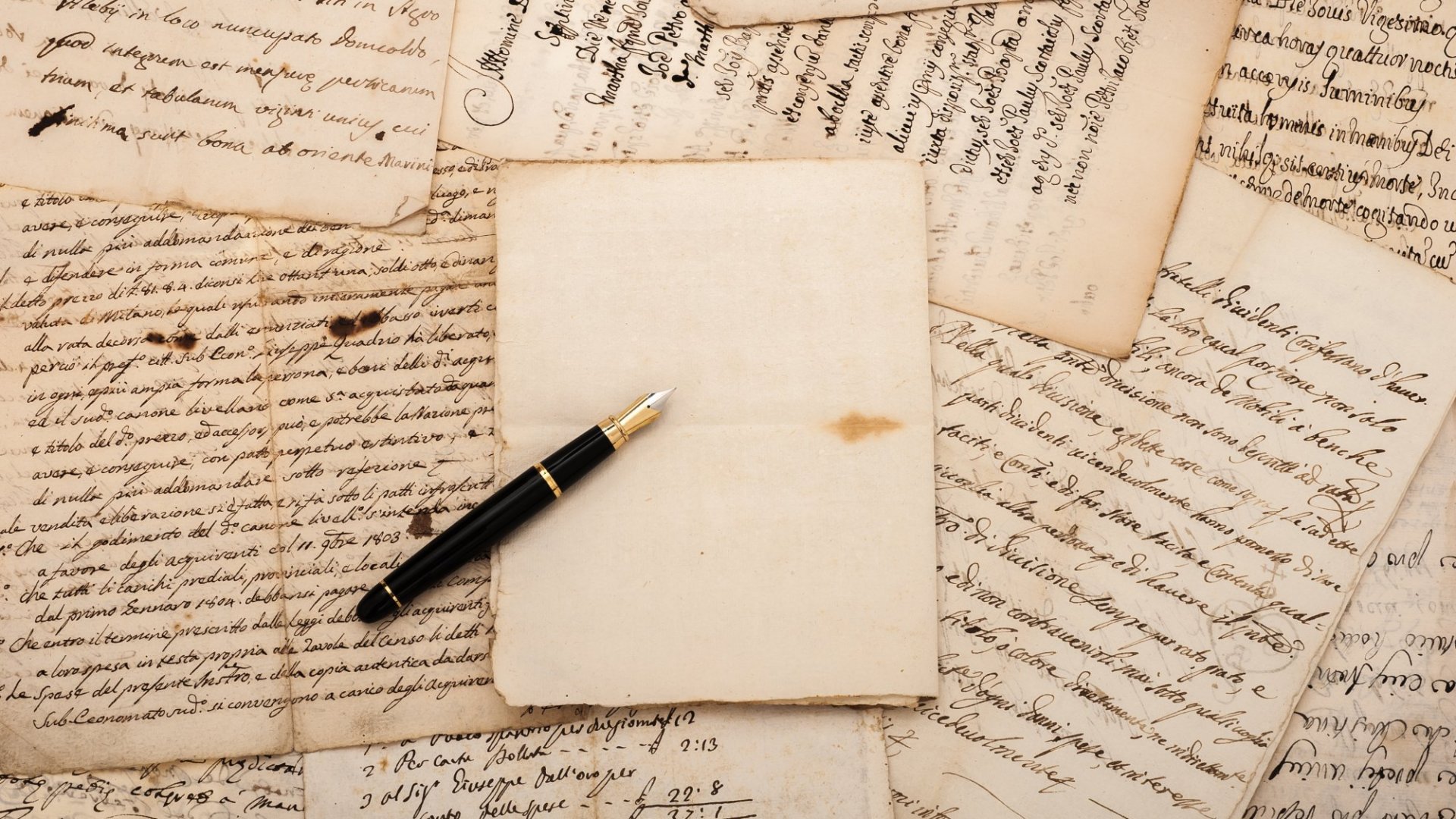 we build your SEO article ranking