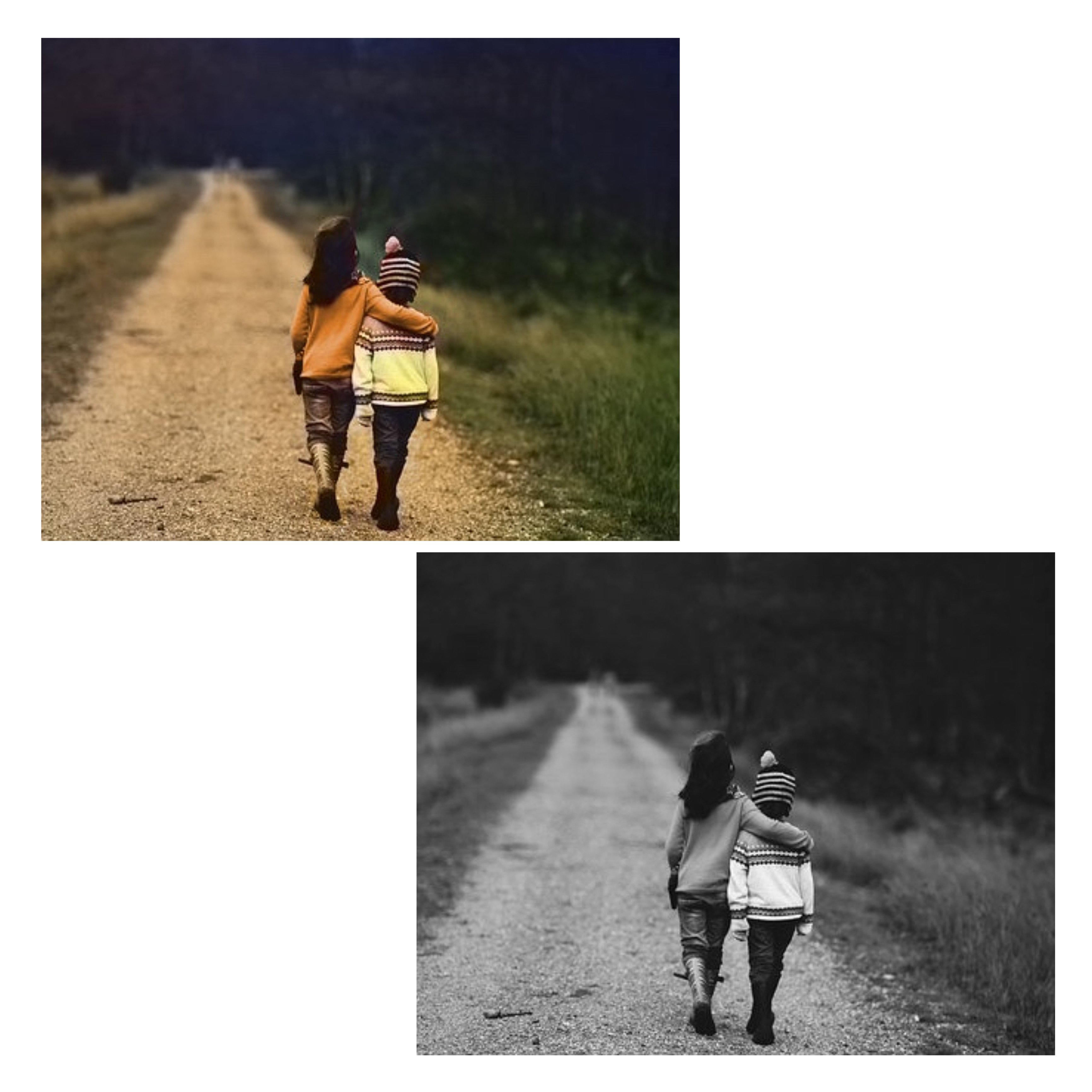 colorize your picture with high quality