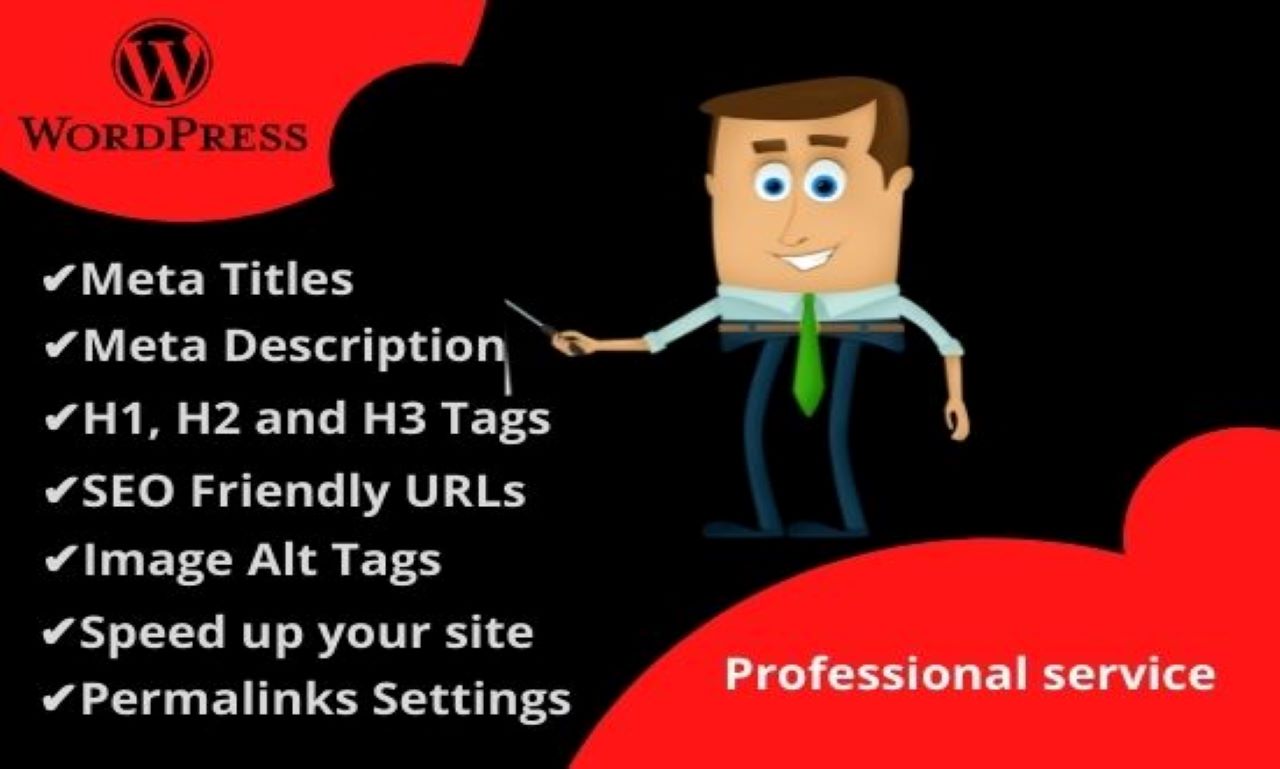 I will do on page SEO for your WordPress website with yoast plugins