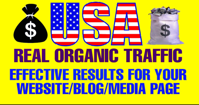 i will do organic usa web traffic 1millions audience
