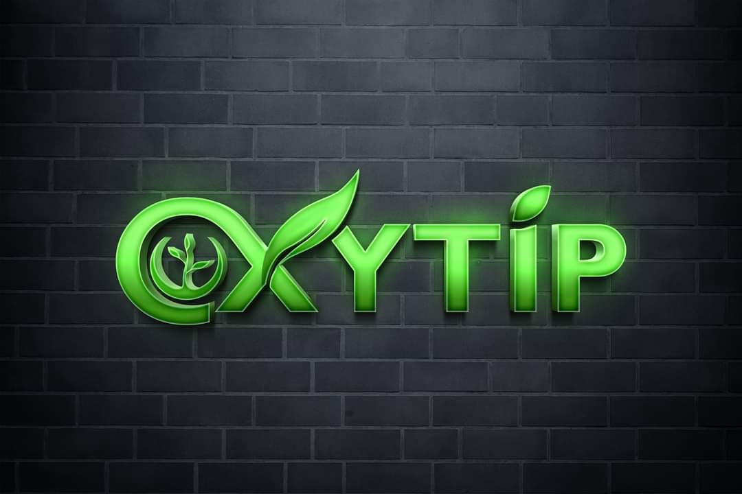 modern minimalist custom logo for 24 hours delivery, your own company, professional logo design, com