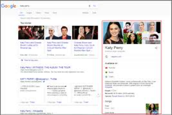 I will make verified google knowledge panel, knowledge panel for you or your company