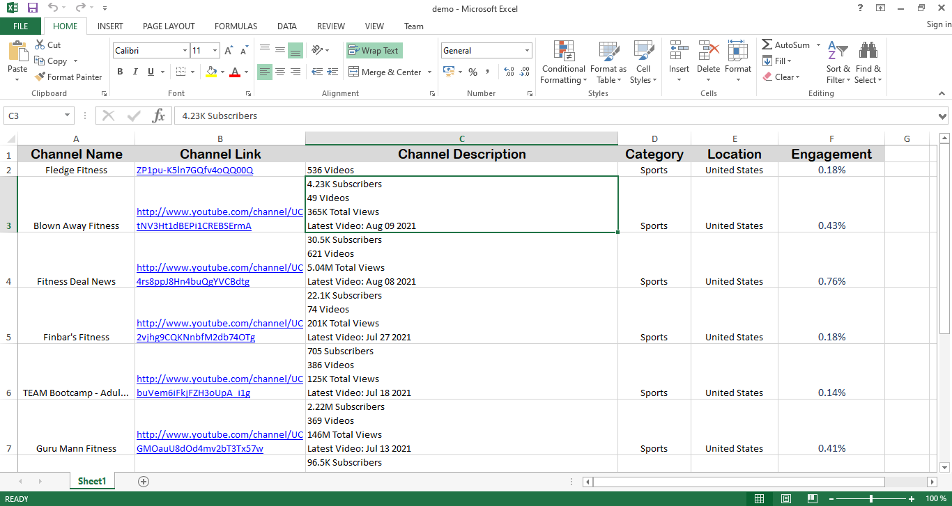 I will find Youtube Influencer details for your niche