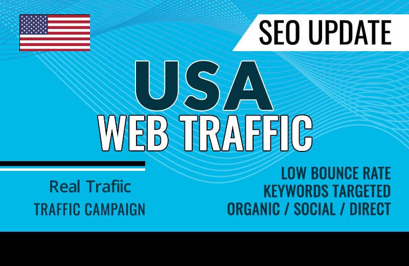 I will drive real SEO google organic targeted USA web...