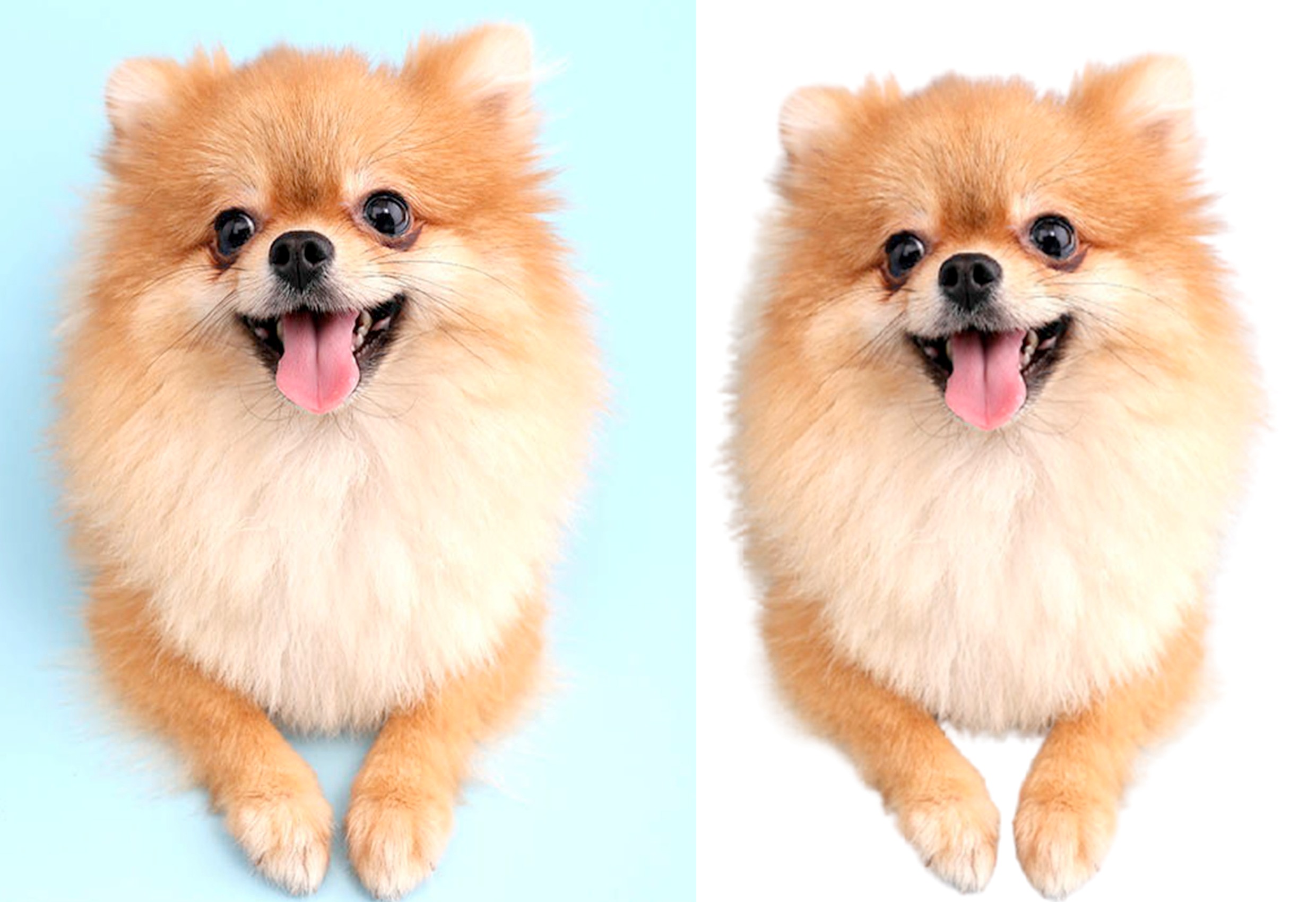 Eliminate the background of the image, get a transparent background for any image