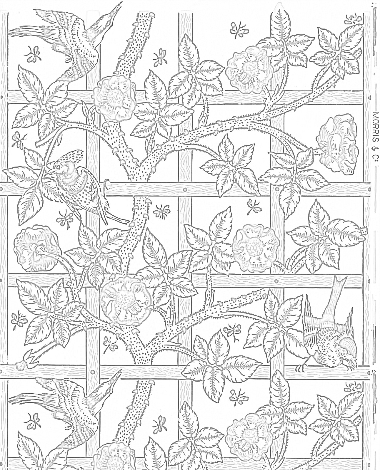 I WILL CREATE UNIQUE AND BEAUTIFUL COLORING PAGES FOR KIDS AND ADULTS 