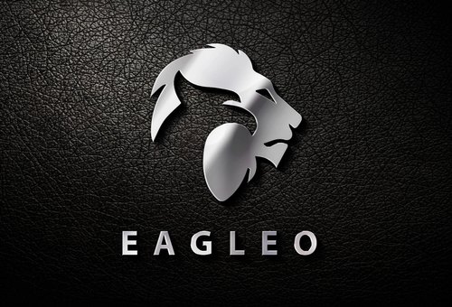 2 professional logo design for you within 24h.