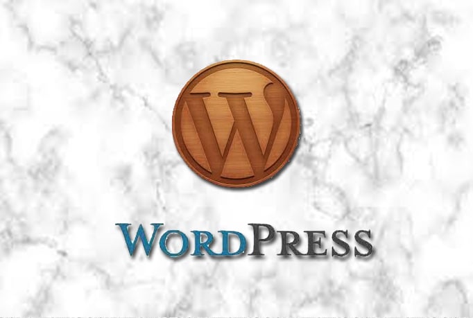 I will design,redesign modern,optimized and high converting wordpress website or blog designs