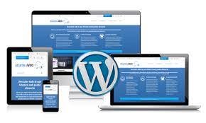 I will design,redesign modern,optimized and high converting wordpress website or blog designs