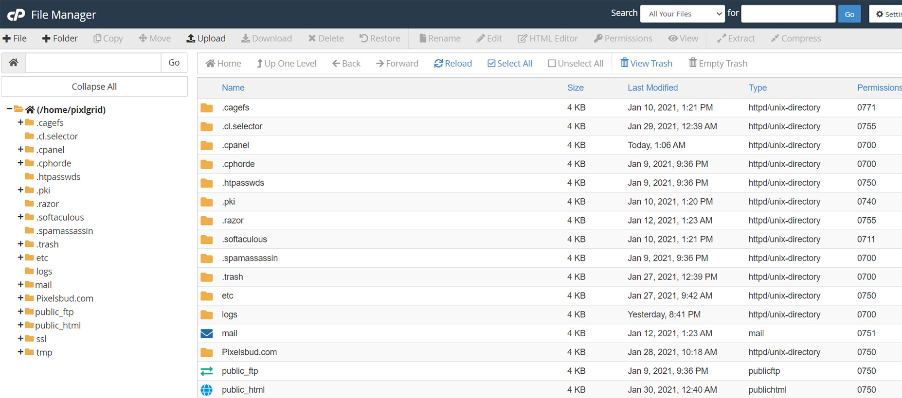 Migrate your cpanel account including email to a new server