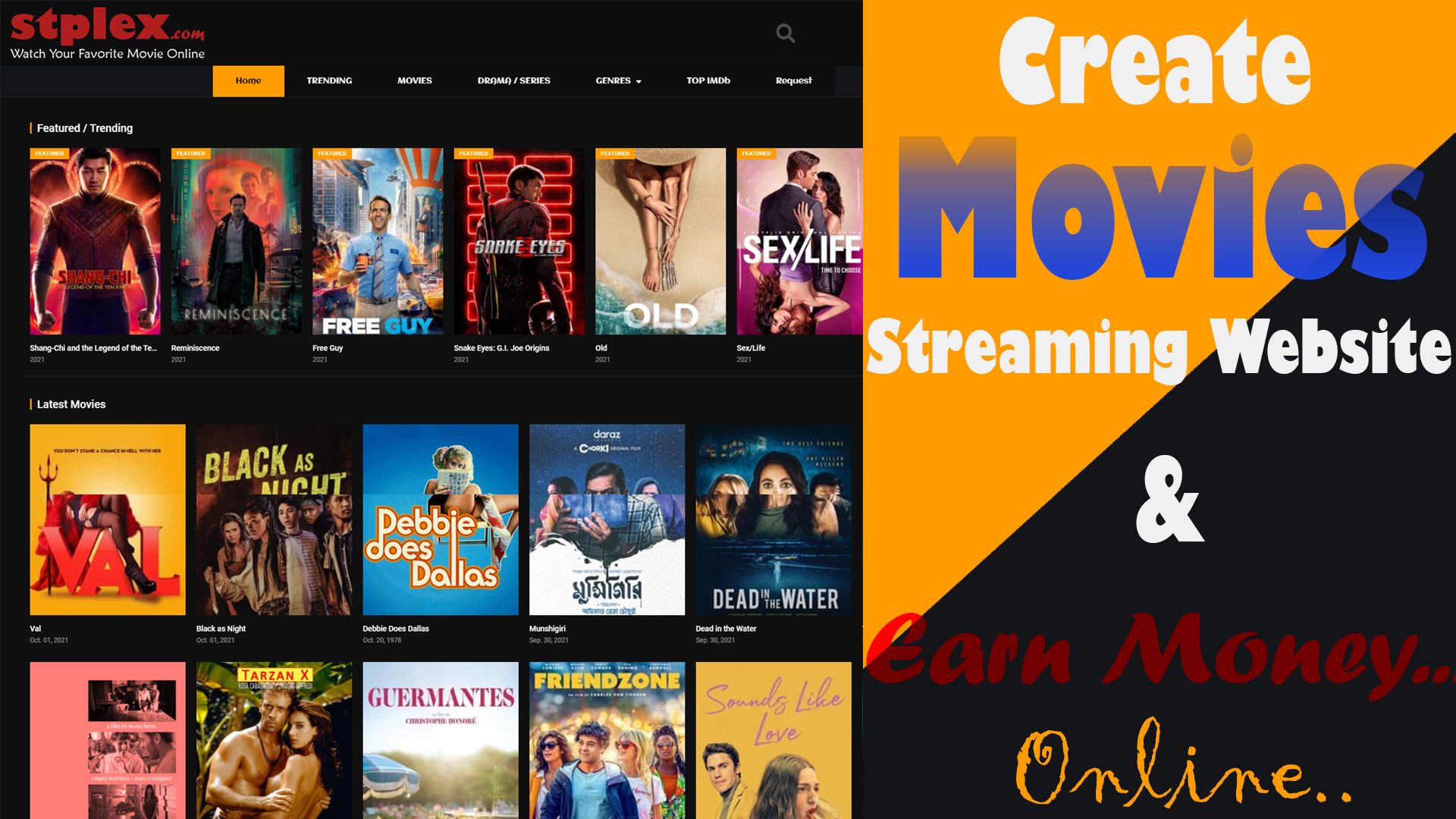 I will create a custom streaming website for passive income