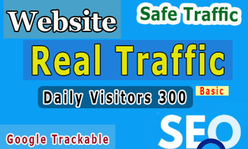 Real Website Traffic Worldwide 