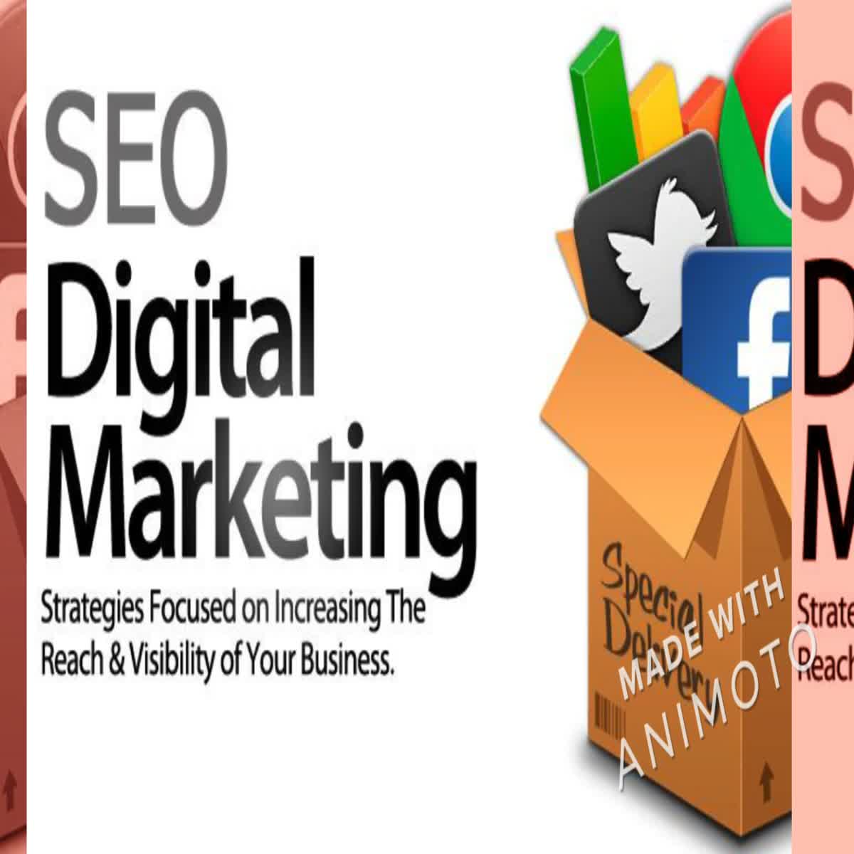 Top Rated SEO and Digital Marketing Service in Affordable Prices 