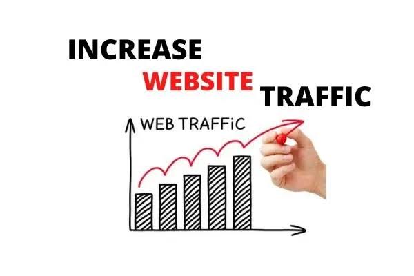 I'll drive 50,000+ real human traffic to your website or link