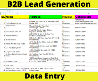 I will Provide b2b lead generation for your business