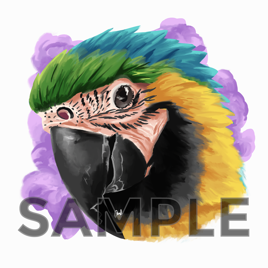 I will paint semi realistic pet portrait