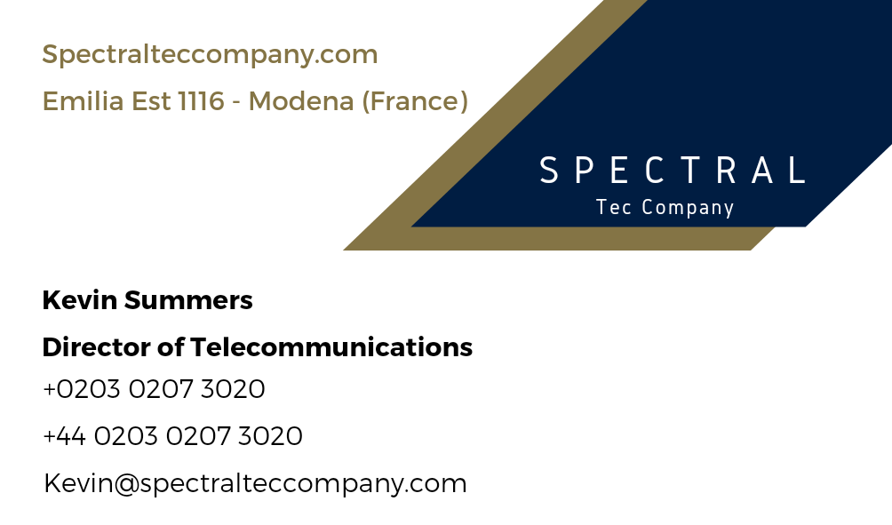 Get your unique Business card and logo at an affordable price with fast delivery