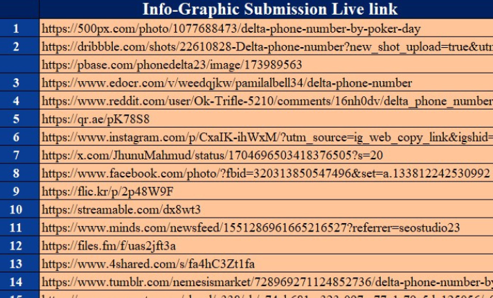 I will do High Authority 100 Image or Photo or Infographic submission to create SEO Link Building