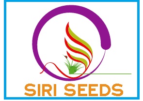 I WILL DESIGN LOGO, A beautifull logo creat your business /personal