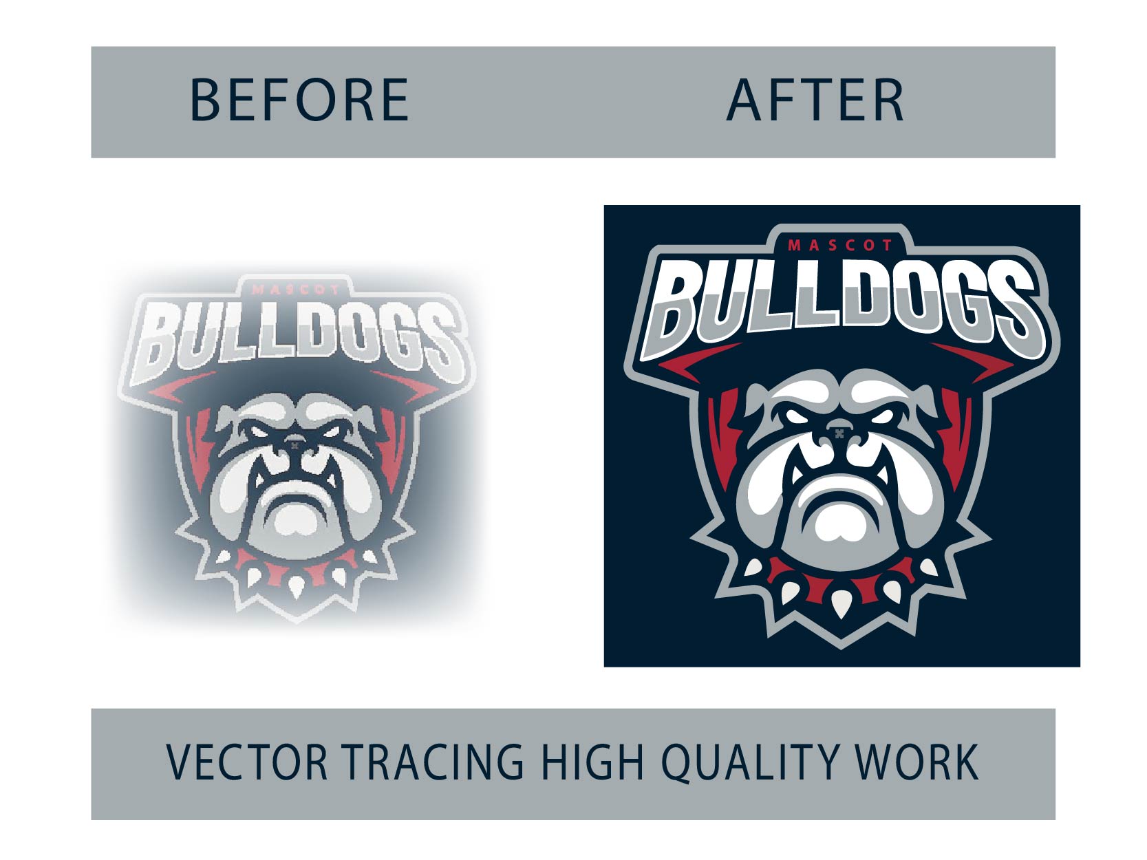 I will redesign, vectorize, edit, fix, improve, modify or vector trace your logo