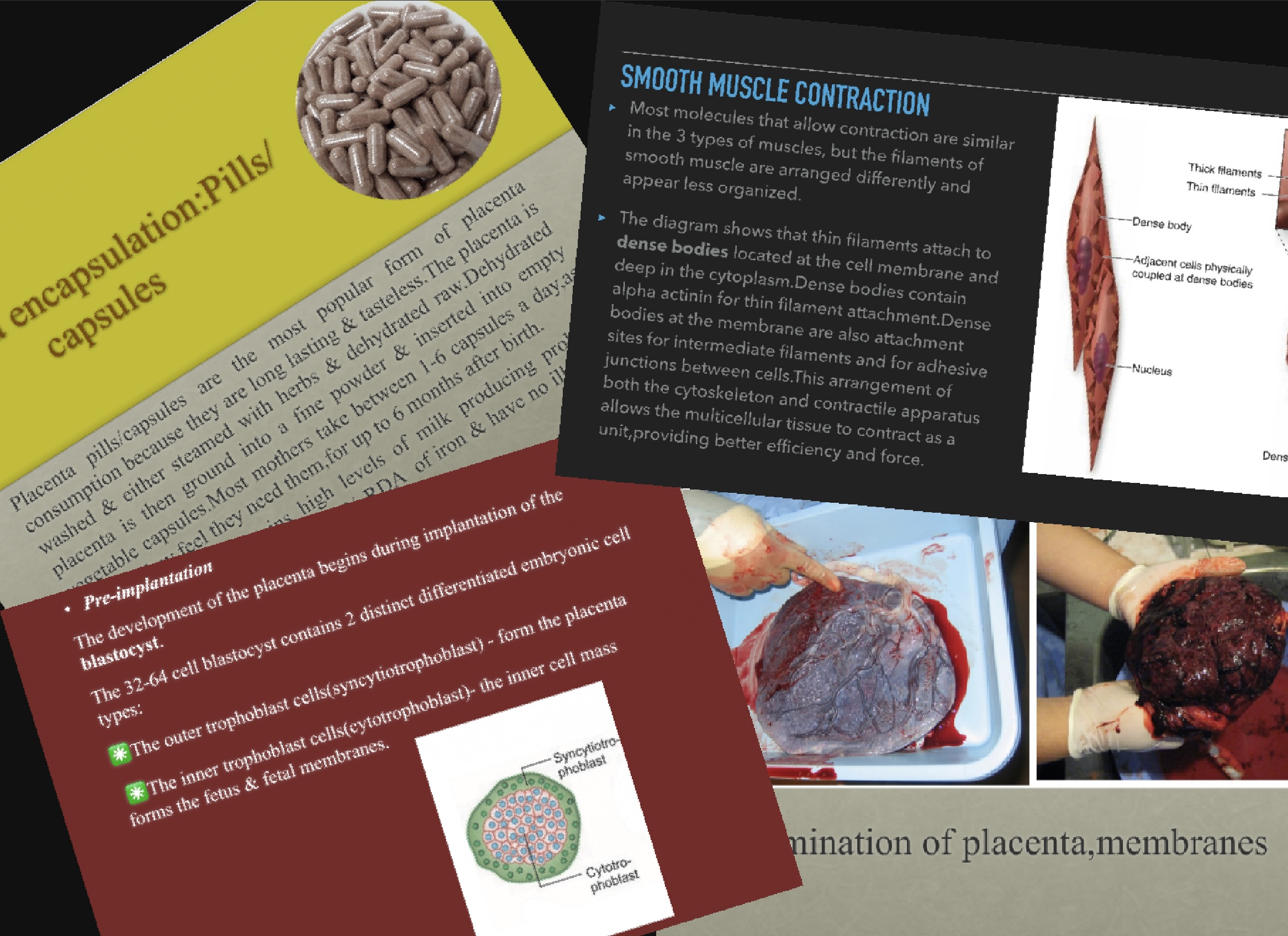 I will do an outstanding medical or health PowerPoint/keynote presentation