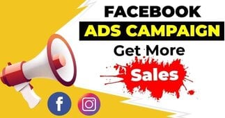 I will do manage Facebook Ads campaign/ Other site Ad...