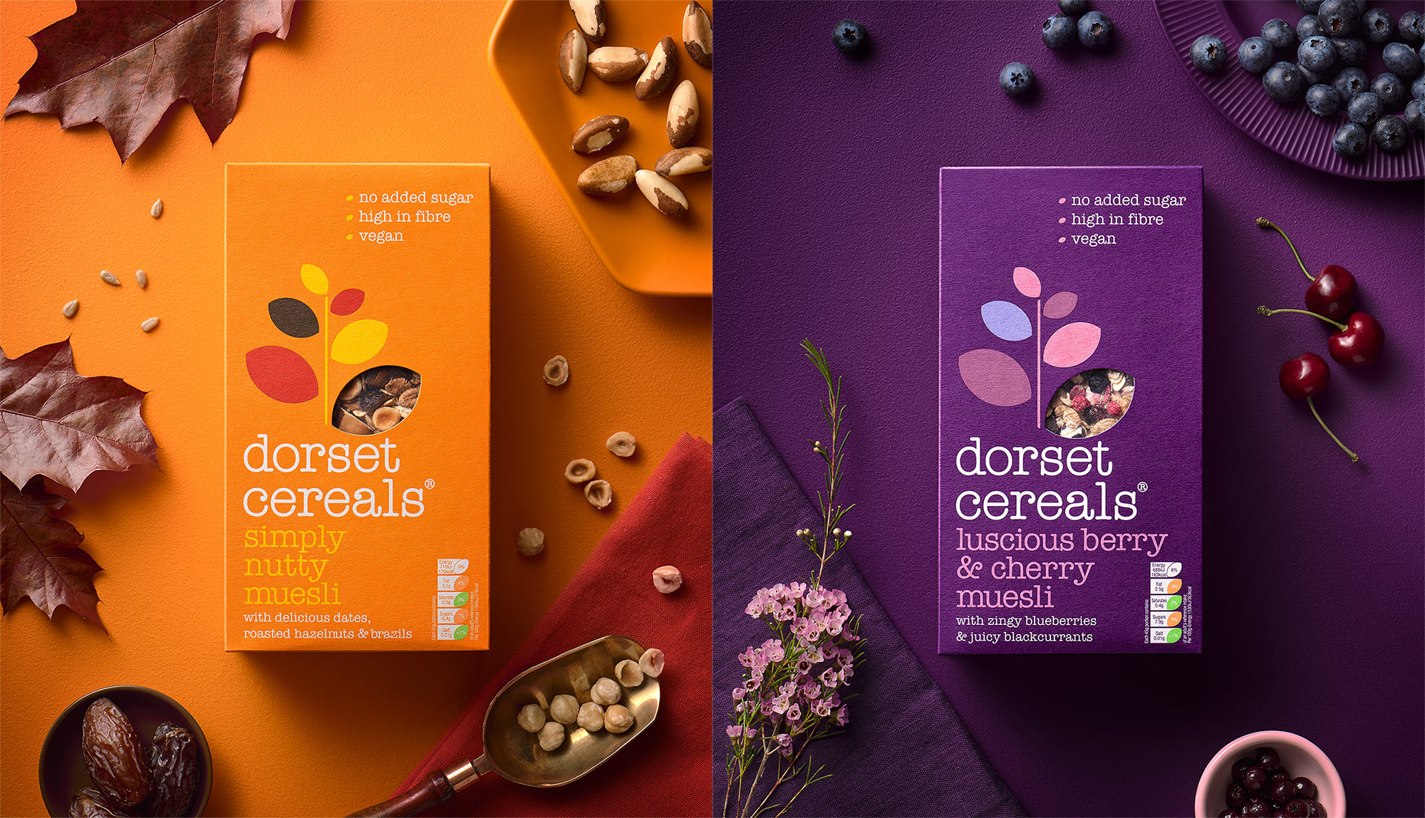 Professional video of studies for the products of your brand, company or online store