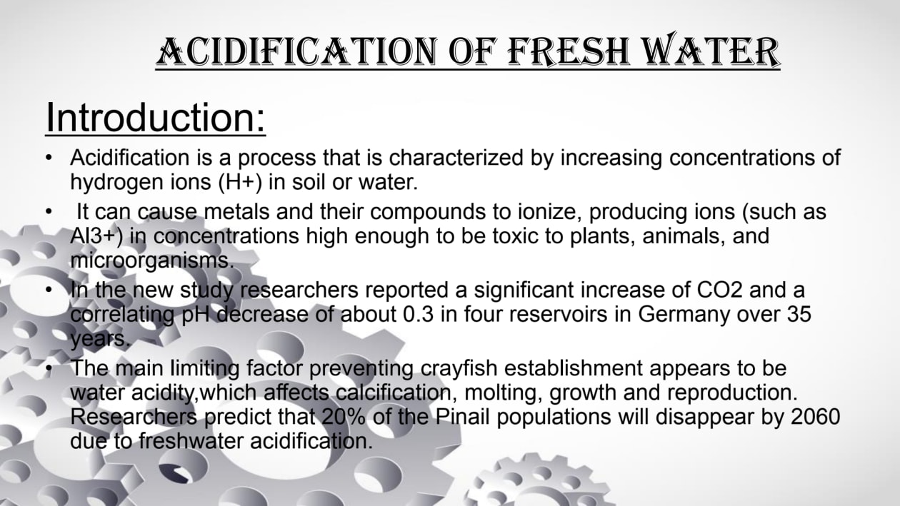 I will do data entry, typing work, copy paste, web research, and excel work for you