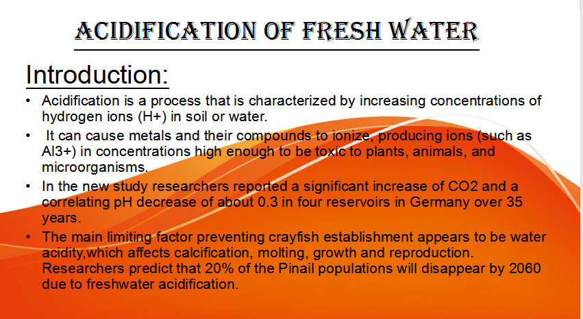 I will do data entry, typing work, copy paste, web research, and excel work for you