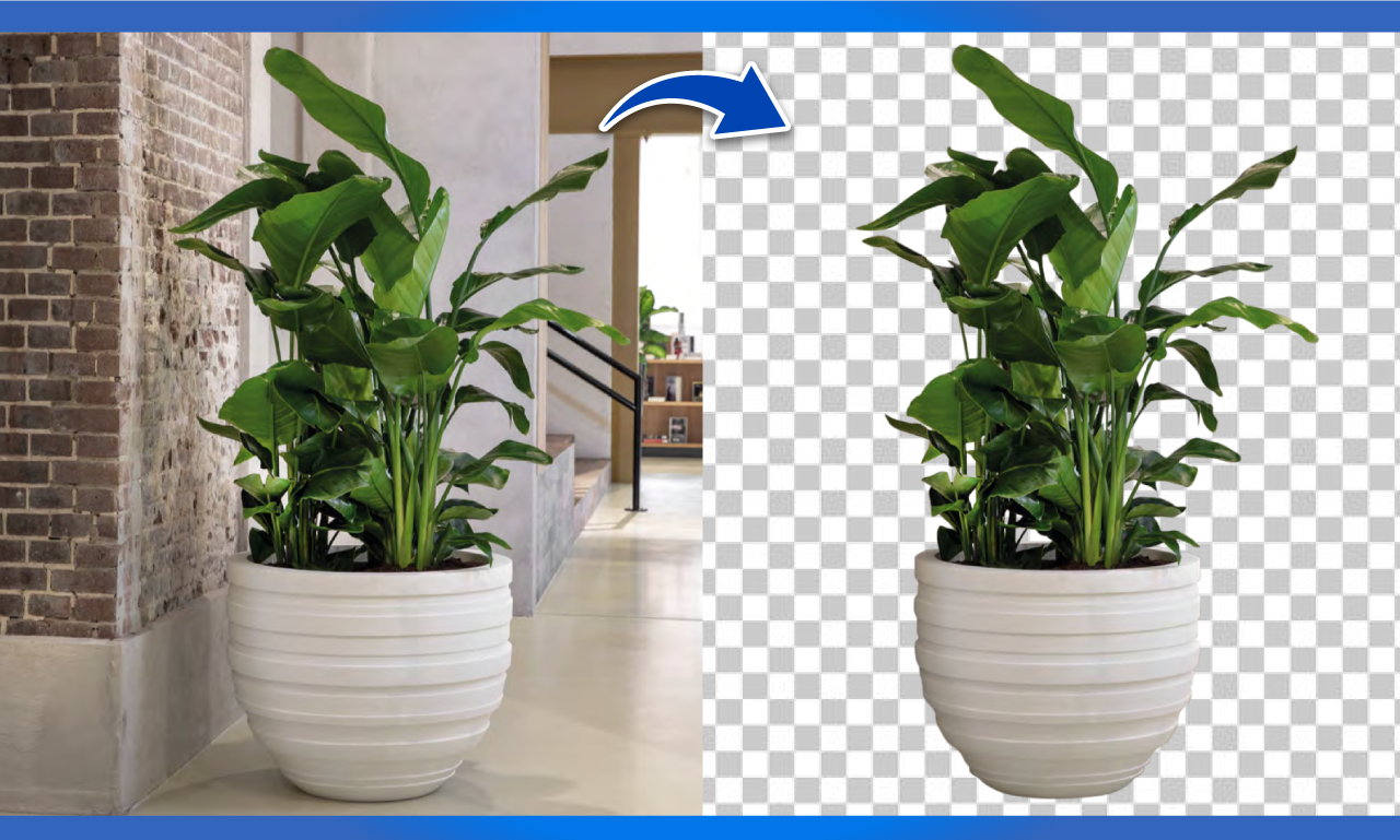 I will remove 5 backgrounds from the image