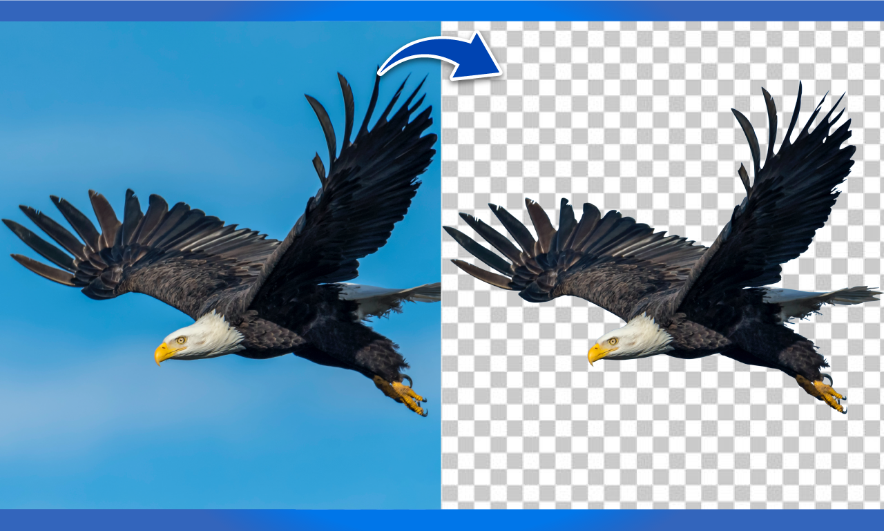 I will remove 5 backgrounds from the image