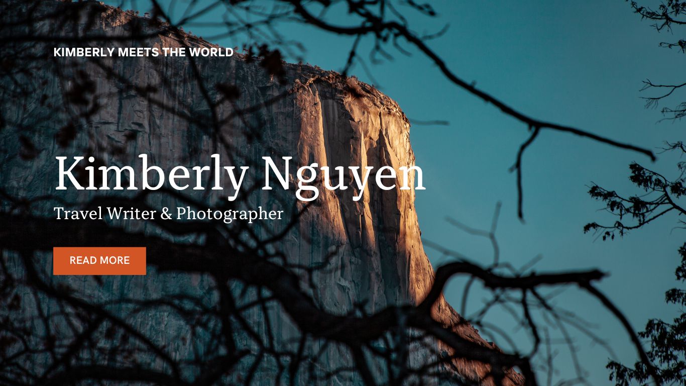 Build Or Edit Existing Website with WordPress