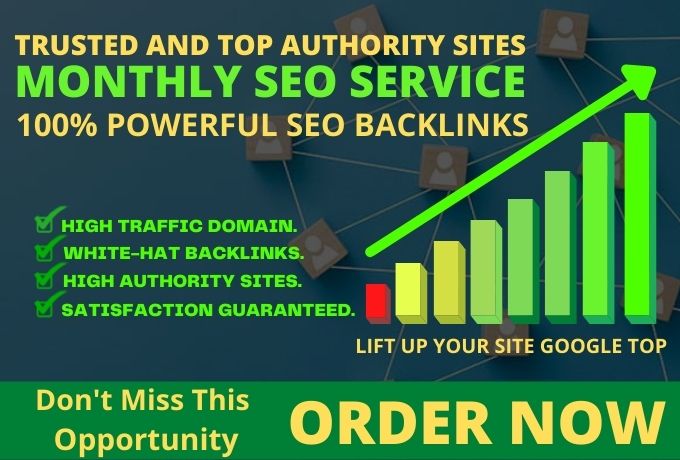 I WILL DO MONTHLY WHITE HAT SEO SERIVICE FOR GURRANTED GOOGLE 1ST PAGE RANKING