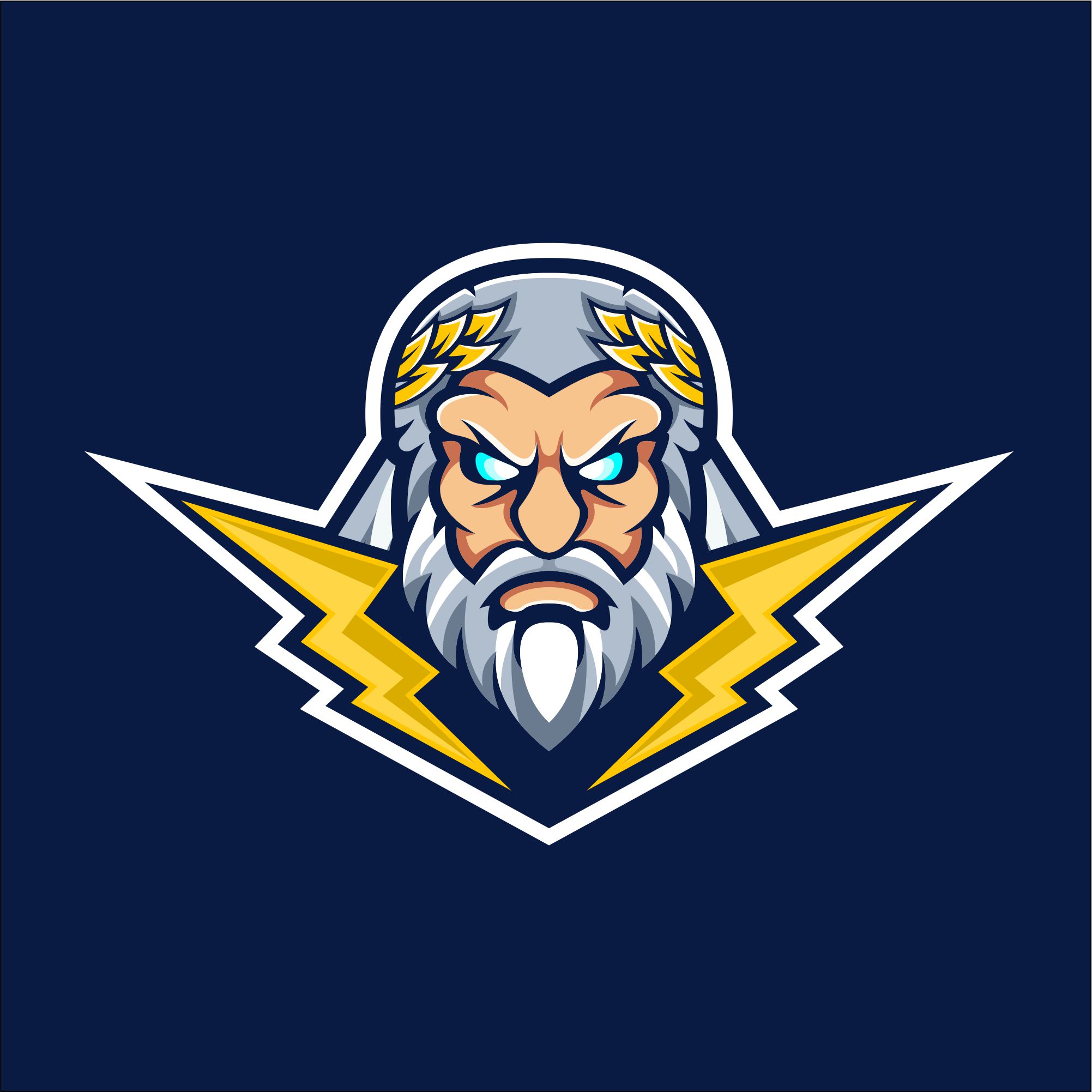 I will design cartoon logo within 24 hours