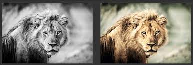 This is all about receiving a job from you and helping you to colorise it and it will look awesome.