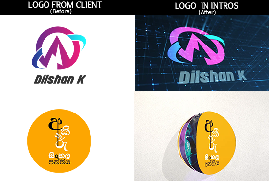 I will proffessional custom logo animation intro in 24 hours