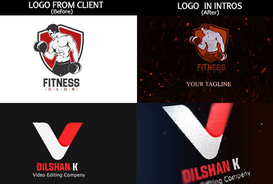 I will proffessional custom logo animation intro in 24 hours