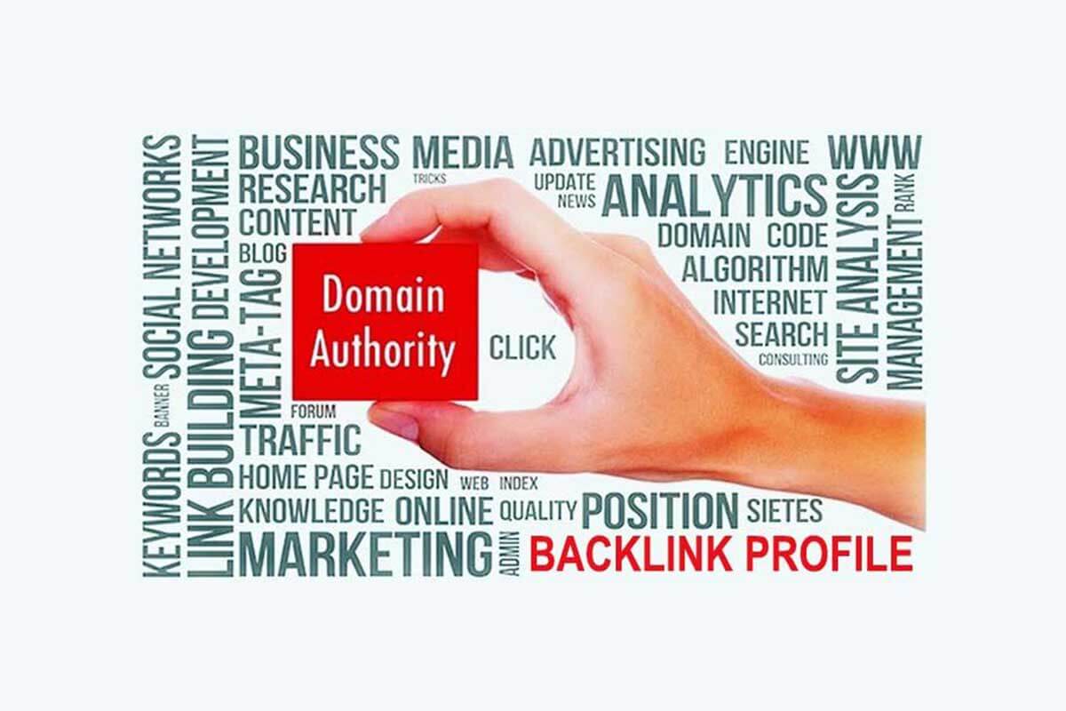 300 Forum Profile Backlink for Domain Rating and Fastest Rank