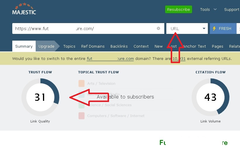 Increase trustflow of URL to 30+ with high trustflow PBN links