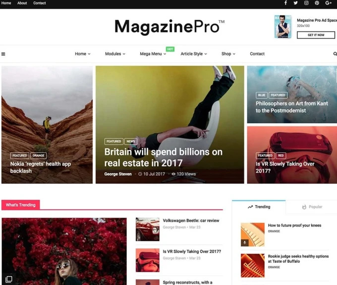 I will build responsive newspaper website or magazine website by wordpress