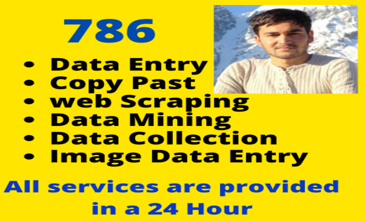 accurately data entry, web scraping, research, data collection, mining