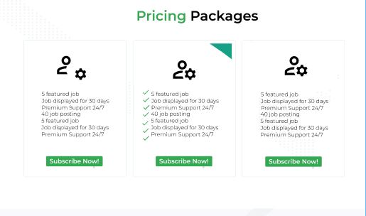 I will Build a professional Looking Responsive WordPress Site