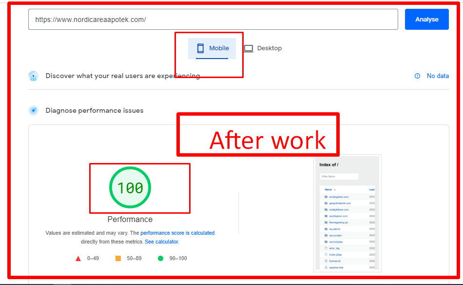 I will speed optimization for WordPress website to increase traffic and google ranking