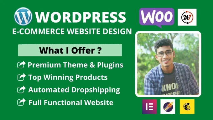 I will create professional and modern WordPress website and ecommerce online store